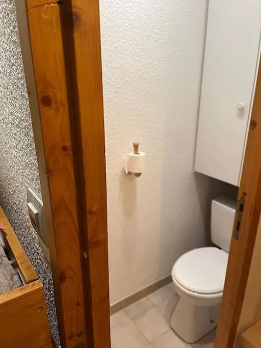 Aollets La Plagne Appartement 5 Pers Sur Piste Ski In Out Francia