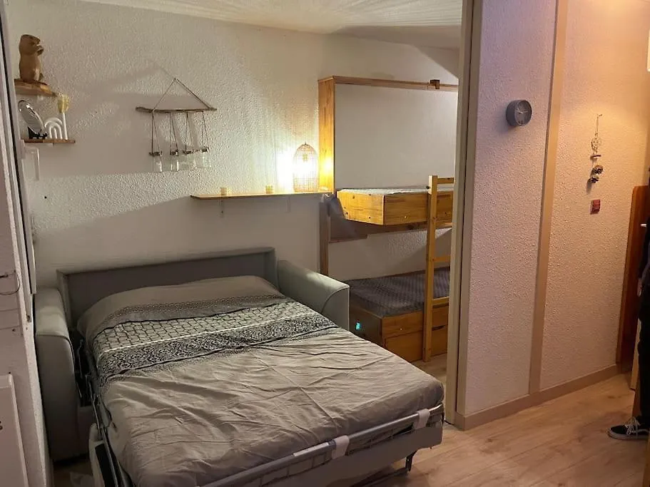 Aollets La Plagne Appartement 5 Pers Sur Piste Ski In Out